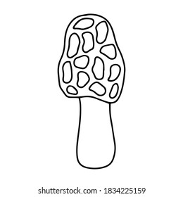 Pumpkin, leaf, acorn, mushroom.  Vector doodle element. For printing on paper, package, web banners, greeting cards. Autumn Thanksgiving day Happy Halloween party. Forest. Vegatarian food symbols.
