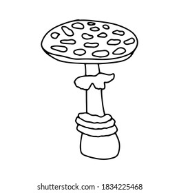Pumpkin, leaf, acorn, mushroom.  Vector doodle element. For printing on paper, package, web banners, greeting cards. Autumn Thanksgiving day Happy Halloween party. Forest. Vegatarian food symbols.
