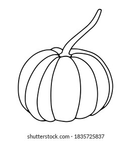Pumpkin, leaf, acorn, mushroom.  Vector doodle element. For printing on paper, package, web banners, greeting cards. Autumn Thanksgiving day Happy Halloween party. Forest. Vegatarian food symbols.
