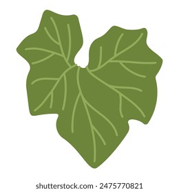 Pumpkin leaf plant. Hand drawn trendy flat style isolated on transparent background. Autumn Harvest, Thanksgiving concept. Vector illustration