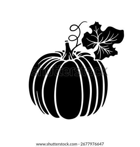Pumpkin with leaf and tendril, black silhouette isolated on white. Pumpkin black shape, imprint of drawing or stencil. Vector or png clipart for autumn harvest illustration, Thanksgiving design.