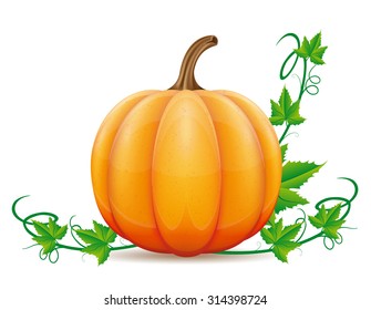 pumpkin and leaf vector illustration isolated on white background