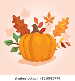 pumpkin with leafs of autumn