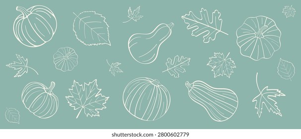 Pumpkin and leafs collection in line art style  isolated on blue background. Autumn decorations. Backdrop with fall elements . Autumn plants. Farm element. Doodle sticker set with pumpkins and leafs. Vector illustration.