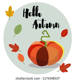 The pumpkin and leaves.
