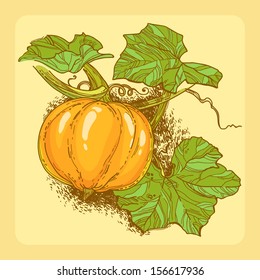 Pumpkin with leaves