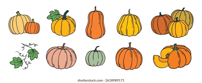 pumpkin and pumpkin leaves autumn harvest doodle hand drawn icon set. Cartoon colorful drawing pumpkin clipart symbol collection. Vector illustration