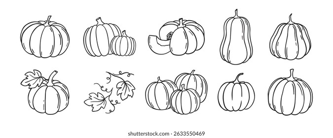 pumpkin and pumpkin leaves autumn harvest doodle hand drawn icon set. Outline drawing pumpkin line clipart symbol collection. Vector illustration