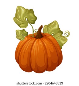 Pumpkin with leaves. Cartoon vector illustration of season vegetable, garden plant. 