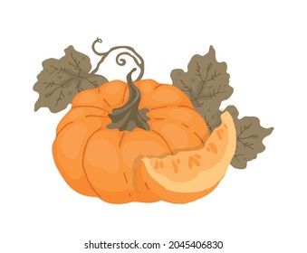 Pumpkin, pumpkin leaves. For cookbook, recipes, menu. Autumn decorative design, Halloween, Thanksgiving day. Isolated vector colorful element on a white background. 
