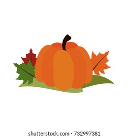 pumpkin leaves fall decoration thanksgiving related icon image 