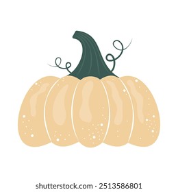 Pumpkin and leaves. Fall floral arrangement with colorful pumpkin. Hand drawn flat style. Seasonal harvest and Halloween Illustration