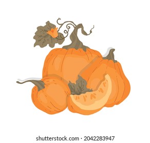 Pumpkin, pumpkin leaves and flower. For cookbook, recipes, menu. Autumn decorative design, Halloween, Thanksgiving day. Isolated vector colorful element on a white background. 