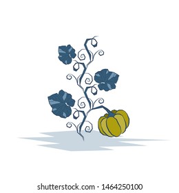 Pumpkin and leaves on a white background. Vector illustration.