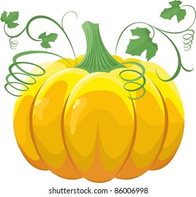 Pumpkin with leaves on white background