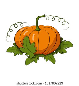 Pumpkin with leaves. Orange vegetable. Harvest Festival. Autumn harvest. Environmentally friendly product. Halloween. Thanksgiving Day. Isolated objects on a white background. Vector illustration.