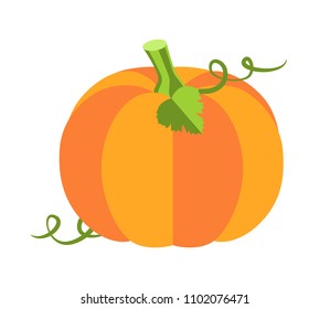 Pumpkin with leaves, sweet ripe vegetable of autumn season, princess party and attribute, cartoon vector illustration isolated on white background.