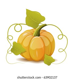Pumpkin with leaves. Vector illustration