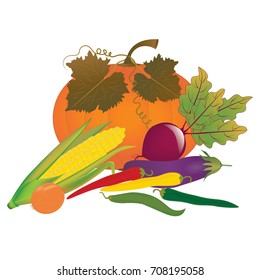 pumpkin with leaves and vegetables - eggplant, corn, pepper bitter, onion, beetroot - isolated on white background - art creative vector