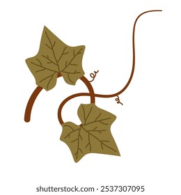 Pumpkin leaves and vines plant, pumpkin leaf vector illustration design template elements, autumn or fall season concept