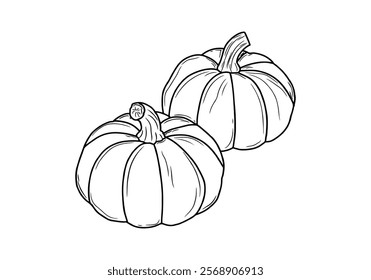 Pumpkin line art illustration with simple lines, featuring natural curves and elegant minimalist details.