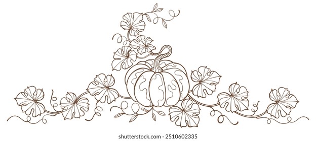 Pumpkin line art style illustration, vector eps