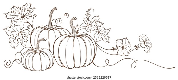 Pumpkin line art style vector illustration, vector eps