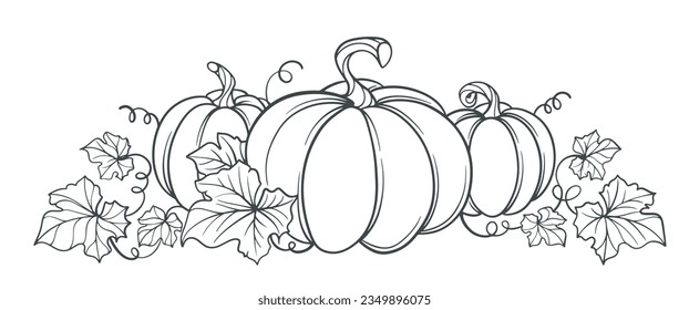 Pumpkin line art vector illustration