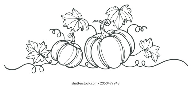 Pumpkin line art vector illustration, halloween, thanksgiving element design