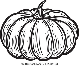 Ilustración vectorial de dibujo de línea de calabaza.