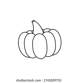Pumpkin line vector icon illustration isolated on white background
