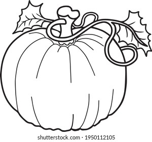 pumpkin  line vector illustration isolated on white background .fruit top view