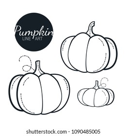 pumpkin linear graphic design. Black and white image of vegetables. Vector illustration line art