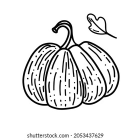 pumpkin linear graphic design. Black and white image of vegetables. Vector illustration line art Isolated on background. printing on T-shirts, poster, wall, goal, glasses, sun loungers, banners