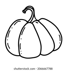 pumpkin linear graphic design. Black and white image of vegetables. Vector illustration line art Isolated on background. printing on T-shirts, poster, wall, goal, glasses, sun loungers, banners