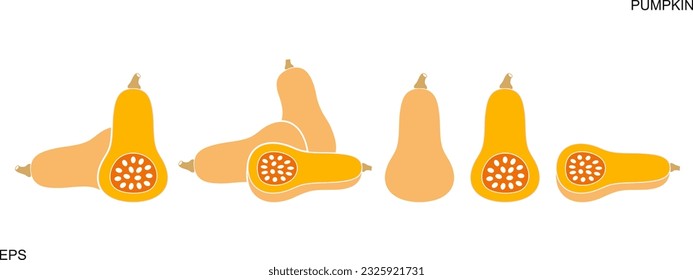 Pumpkin logo. Isolated pumpkin on white background