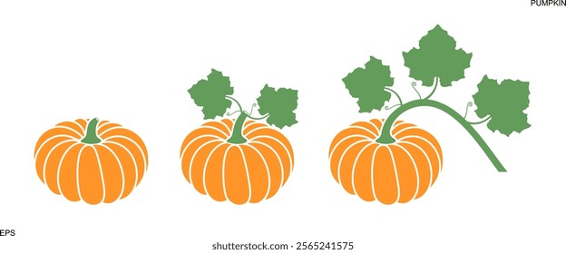 Pumpkin logo. Isolated pumpkin on white background. Patisson