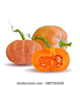 Calabaza baja. Calabaza fresca, nutritiva y sabrosa. Símbolos de bayas. Elementos para el diseño de etiquetas. Ilustración vectorial. Ingredientes de color gris en la técnica de triangulación.