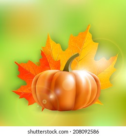 pumpkin and maple leaves, vector illustration, eps 10 with transparency and gradient meshes