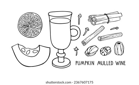Pumpkin Mulled wine ingredients set. Spice mulled wine recipe. Doodle vector illustration. Hot winter drink recipe. Organic product sketch. Flavor cooking ingredients, drinking glass, pumpkin piece.