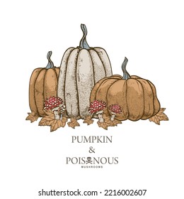 pumpkin mushrooms poster retro sketch