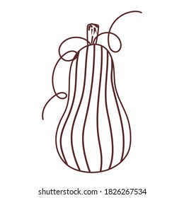 pumpkin nature vegetable fresh isolated icon design vector illustration line style