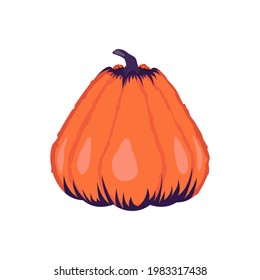 The pumpkin is not round in shape. Pumpkin for Halloween. 
