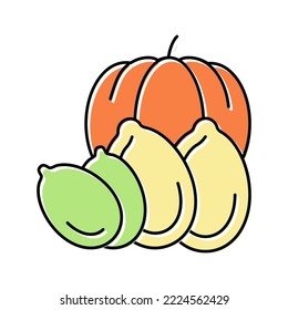 pumpkin nut color icon vector. pumpkin nut sign. isolated symbol illustration