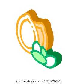 pumpkin nut icon vector. isometric pumpkin nut sign. color isolated symbol illustration