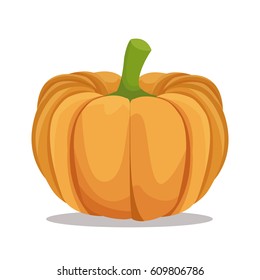 pumpkin nutrition healthy image