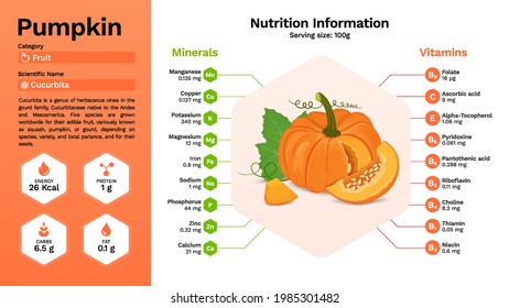 Pumpkin and its nutritional properties -Vector illustration