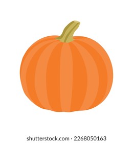 Pumpkin is a nutritious orange vegetable Vector Art Work.