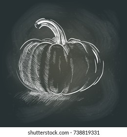 Pumpkin on the blackboard. Vector illustration. Halloween.