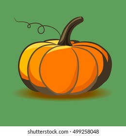 Pumpkin on green background.